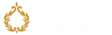 Web Logo ST